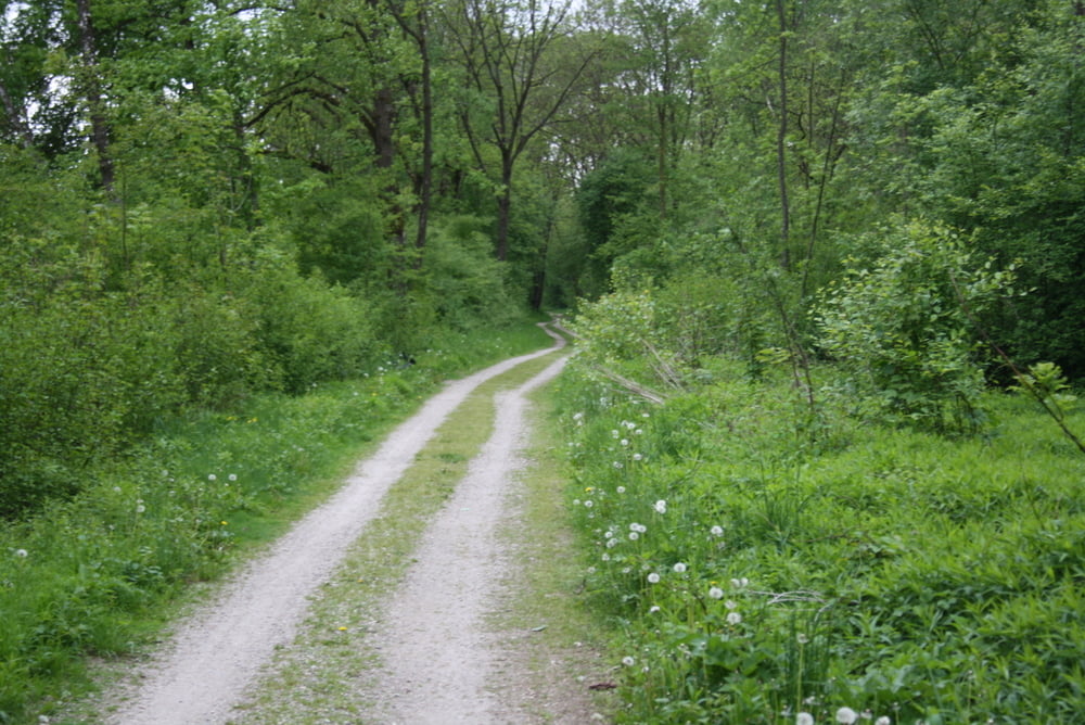 Fahrrad Touring: Via Claudia Augusta: Etappe 1 - Von Donauwörth nach