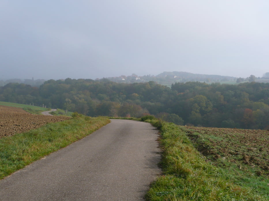 Wandern: Fürweiler-Grafental-Fürweiler (Tour 47168)