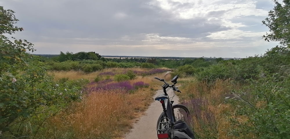 Trekkingbike: 471. Berlin Süd Radrund Mit Mauerweg Und Teltowkanal ...