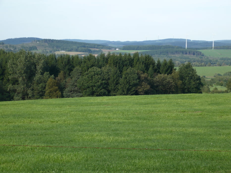 Rennrad: Im Wissener und Wildenburger Land (Tour 57441)