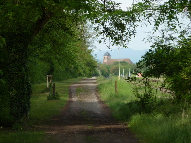 Wandern Jakobsweg Breisach nach Colmar (Tour 34199)