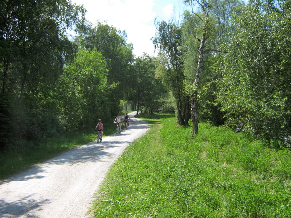 Trekkingbike VinschgauEtschRadweg vom Mals nach Meran