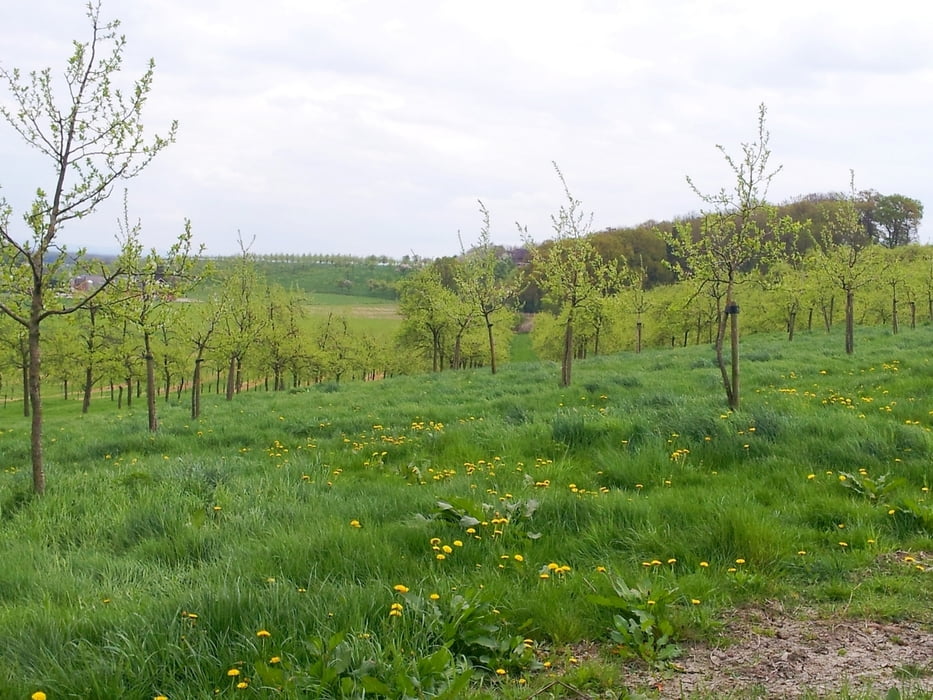 Wandern: Rund Um Stromberg (Tour 140638)