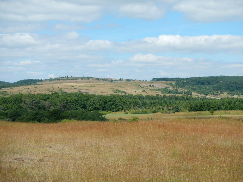 Wandern Truppenübungsplatz Baumholder Tour 4 (Tour 139697)