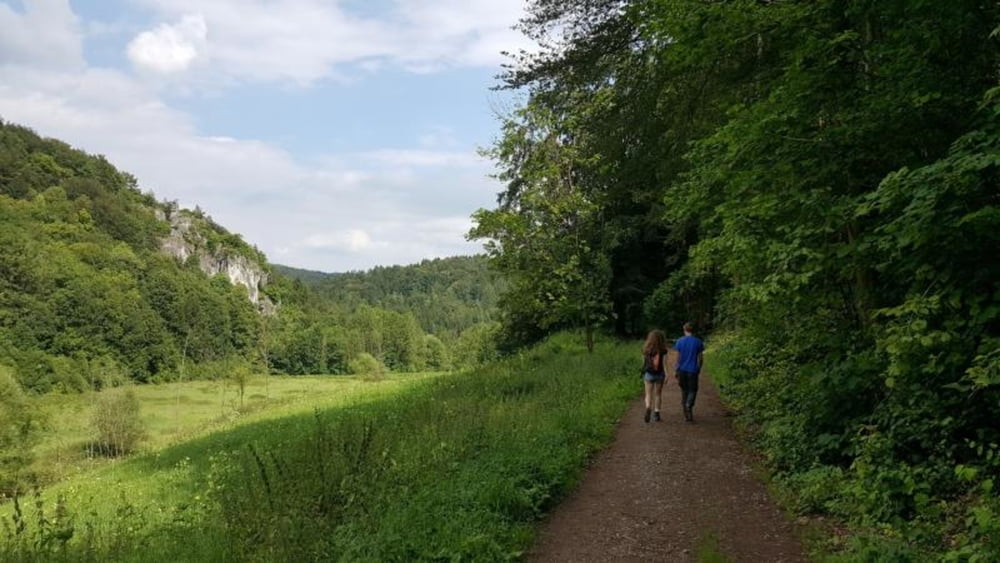 Wandern Fürther Turm Thuisbrunn (Tour 168879)