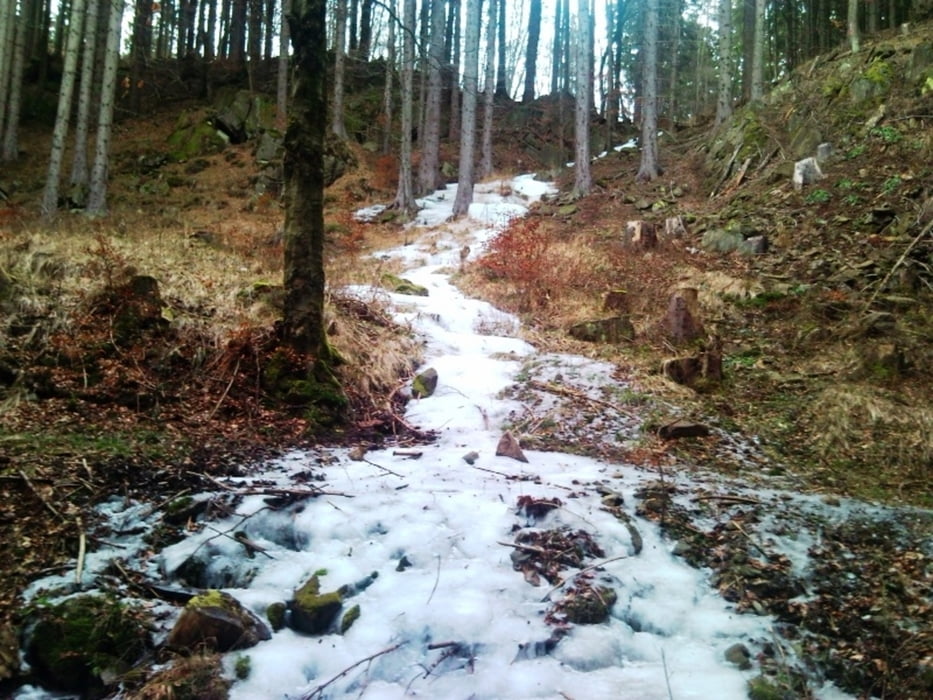 Wandern: Kurzwanderung Am Zillierbach (Tour 95689)