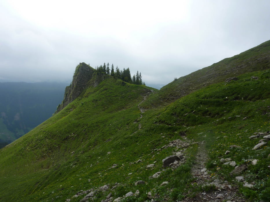 Wandern Au Ugaalpe (Alpengasthof Edelweiß