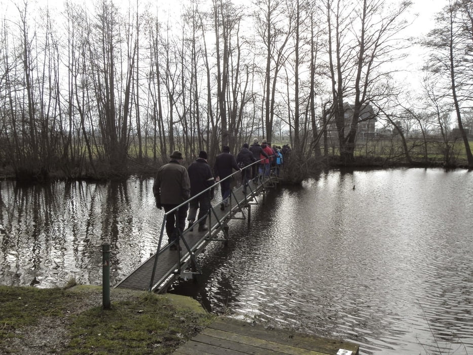 Wandern Rondwandeling HoutBlerick (Tour 138942)