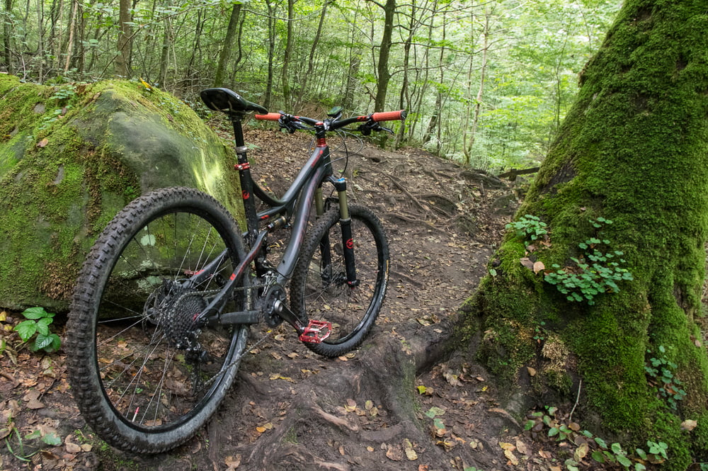 mullerthal trail mtb