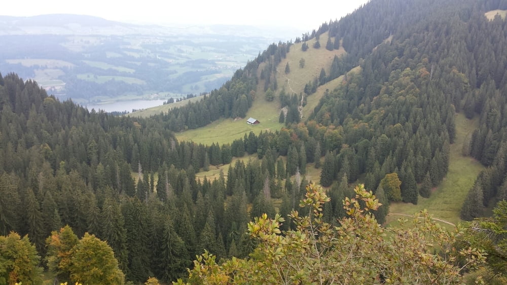 Mountainbike Alpsee BärenfalleKemptener