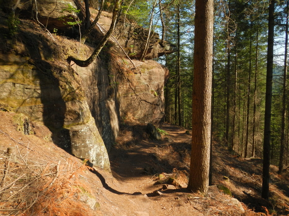 Mountainbike: Rodalber Felsenwanderweg (Tour 141752)