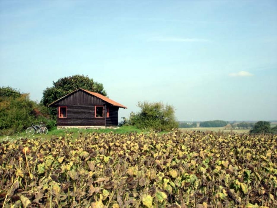 Fahrrad Touring 124) Beeskow Friedland Schwielochsee