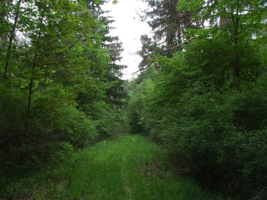 Wandern Schießplatz Haunstetten (Tour 101433)