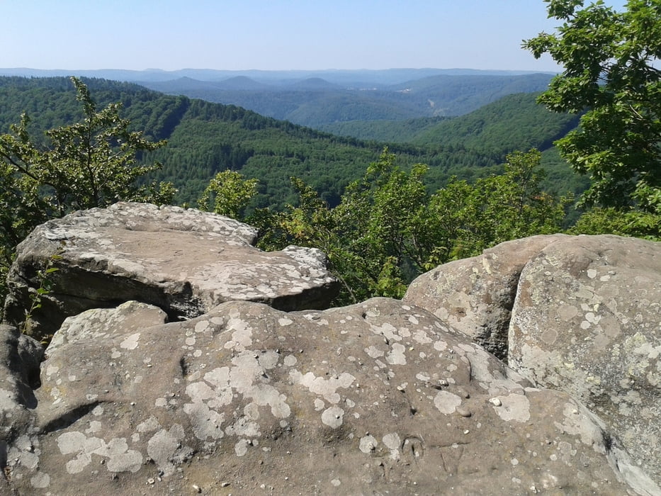 Mountainbike: Eckkopf-Lambertskreuz-Drachenfels-Zeppelinturm ...