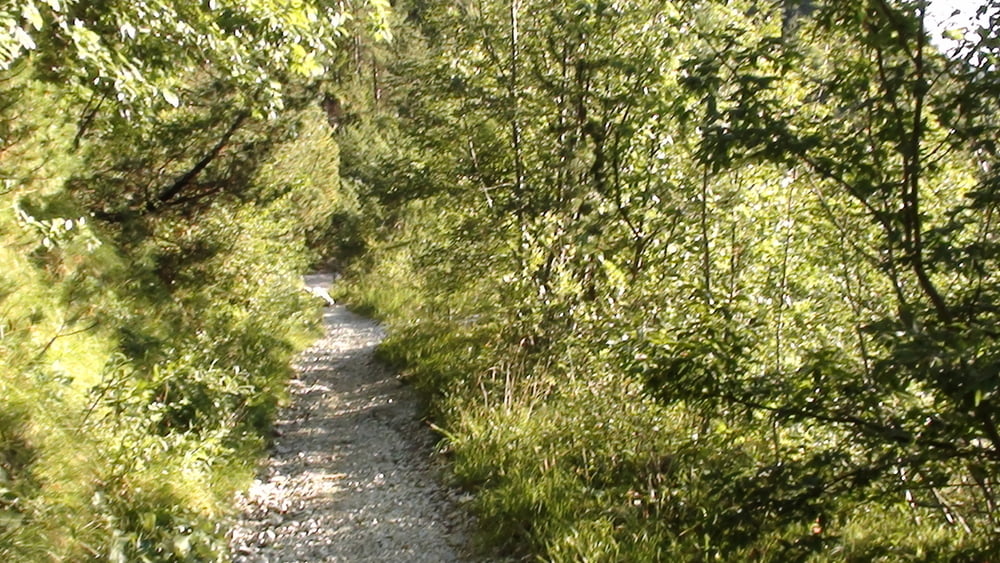 Mountain Bike Lago Di Garda Tremosine Mt Tremalzo