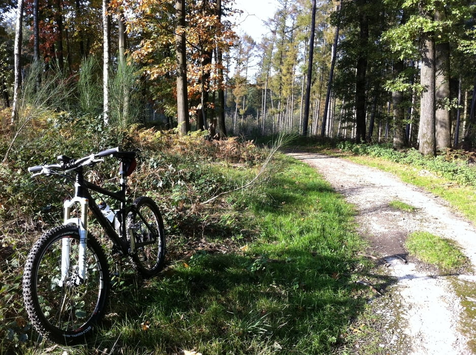 Mountainbike Feierabendrunde Steve (Tour 92570)